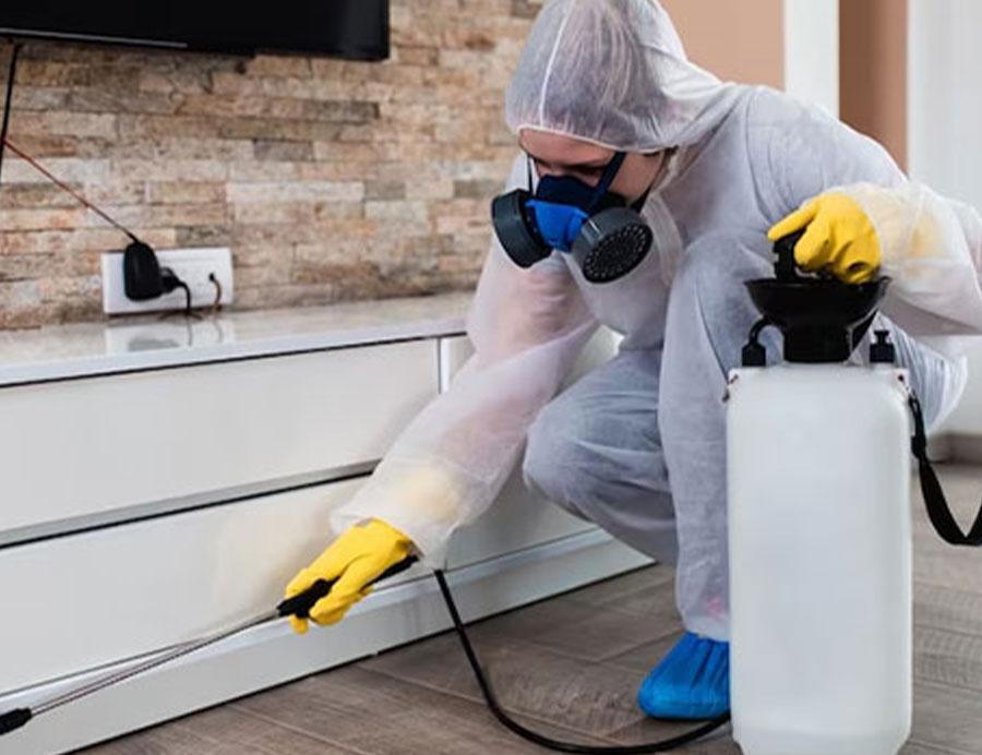 Proximité-et-Réactivité