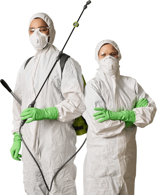 Equipo técnico PlagasCero inspeccionando cocina por infestación de cucarachas en Torrevieja