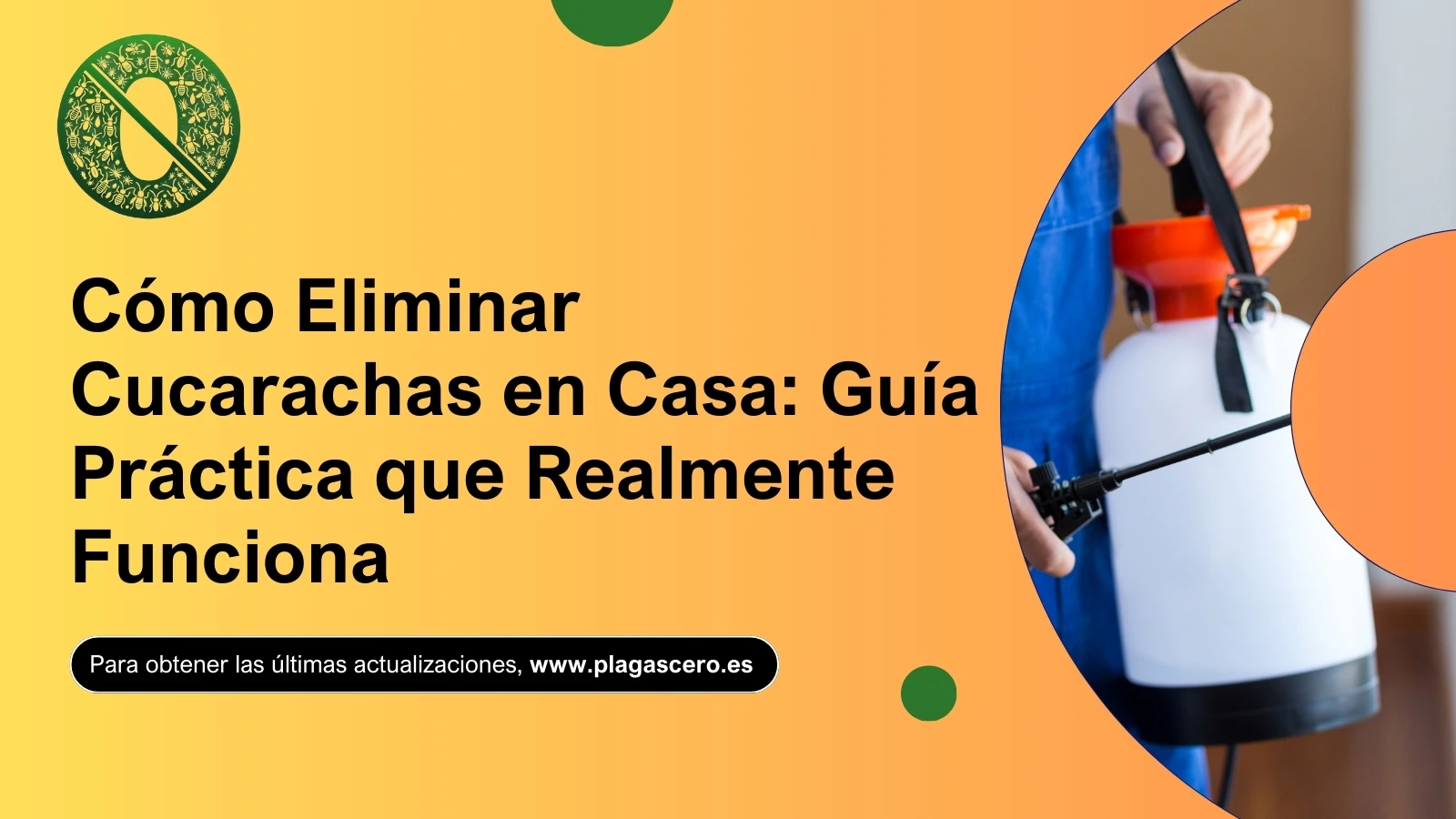Cómo Eliminar Cucarachas en Casa: Guía Práctica que Realmente Funciona