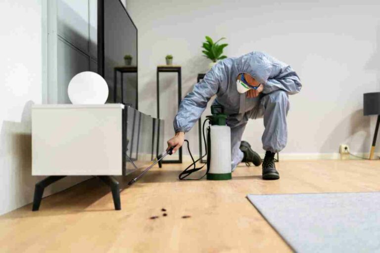 PlagasCero – Expertos en fumigación y control de plagas en Torrevieja, Alicante y alrededores