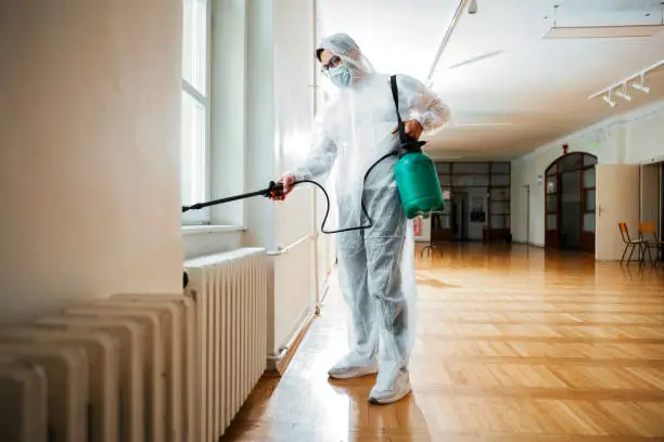 PlagasCero – Expertos en fumigación y control de plagas en Callosa de Segura, Alicante y alrededores