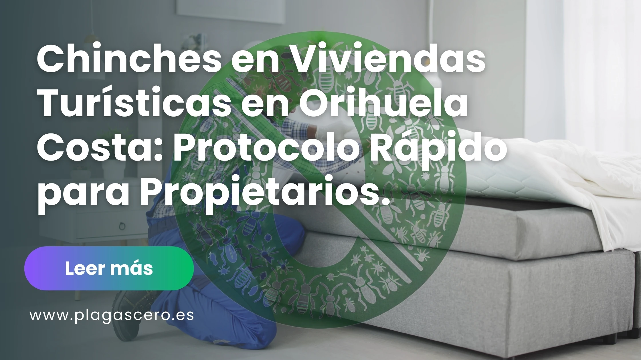 Chinches en Viviendas Turísticas en Orihuela Costa: Protocolo Rápido para Propietarios
