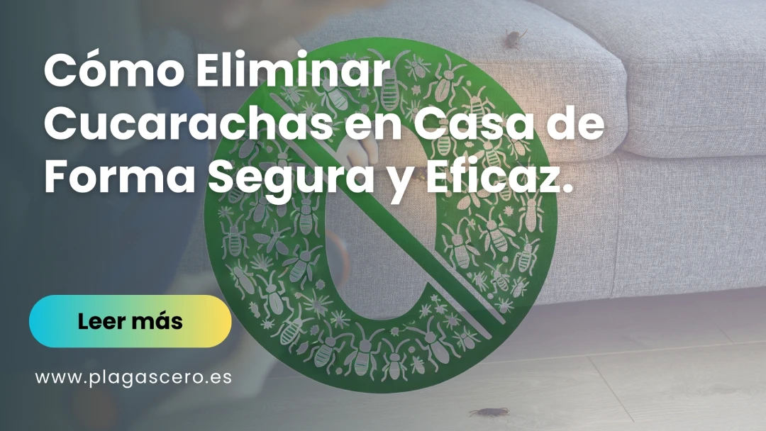 Cómo Eliminar Cucarachas en Casa de Forma Segura y Eficaz