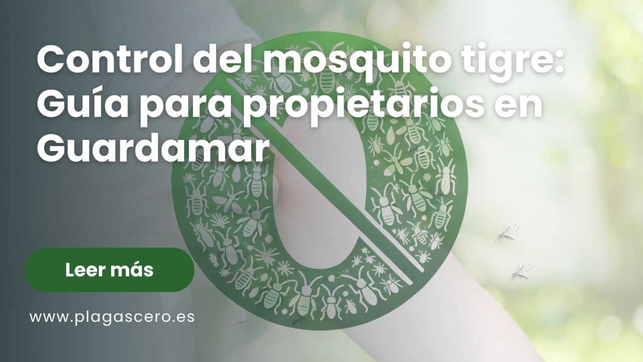 Control del mosquito tigre: Guía para propietarios en Guardamar