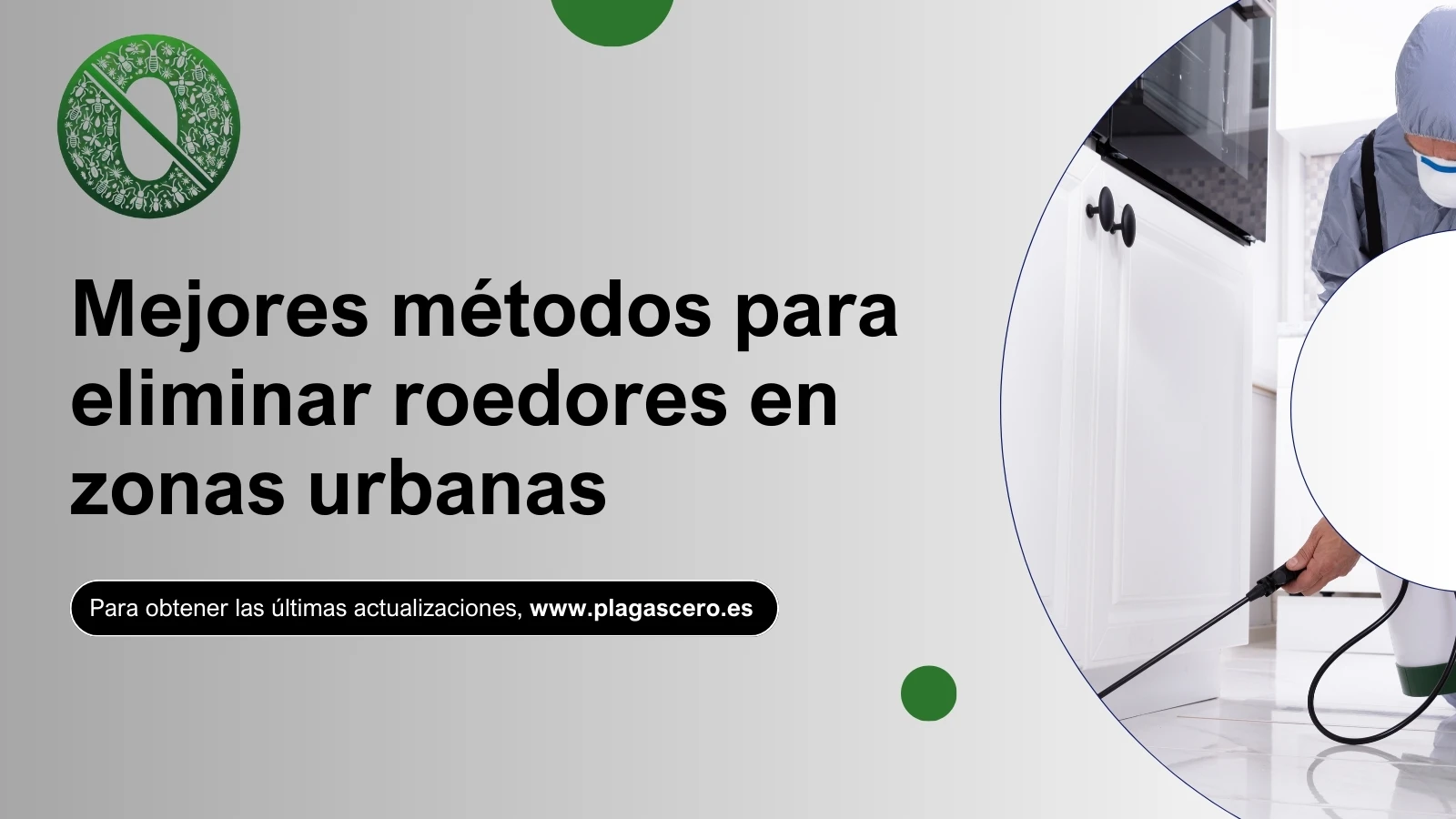 Mejores métodos para eliminar roedores en zonas urbanas