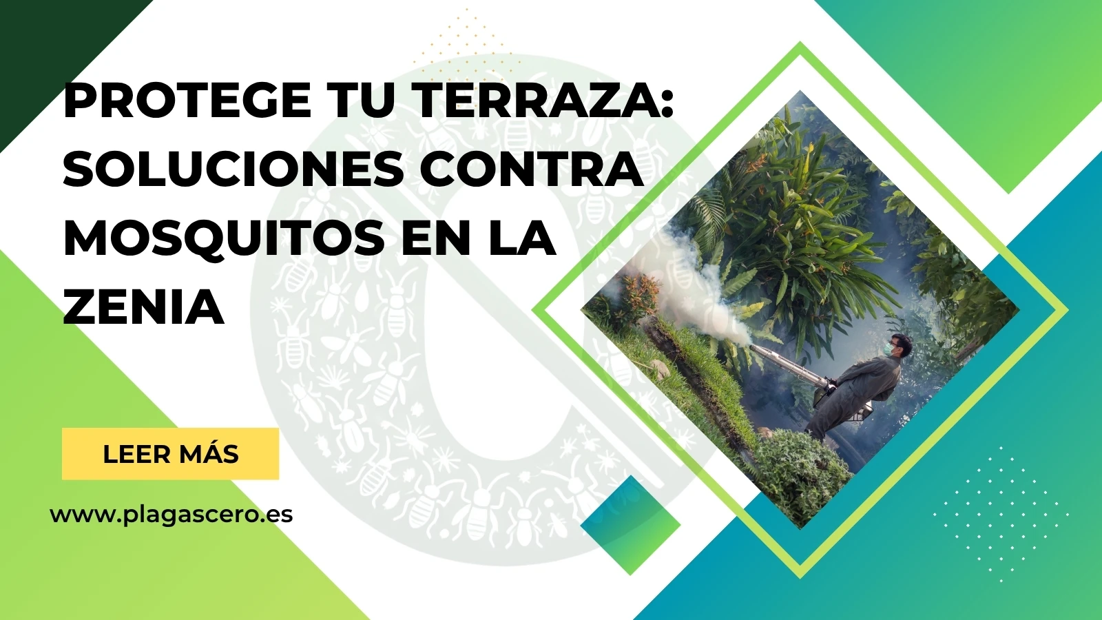Protege tu terraza: soluciones contra mosquitos en La Zenia