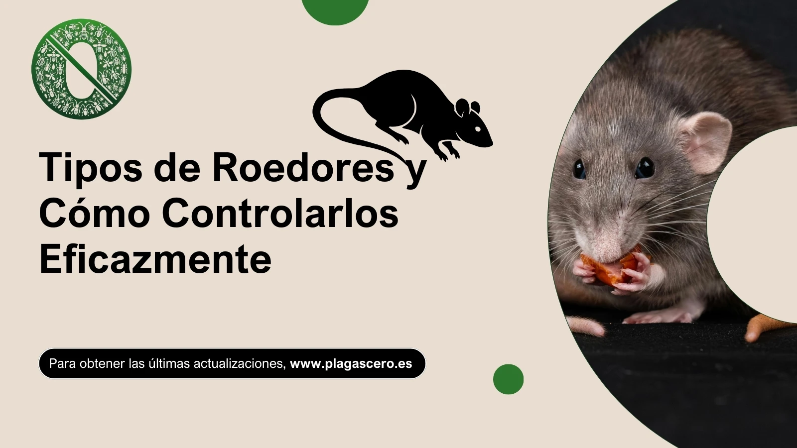 Tipos de Roedores: Guía de Control y Prevención - 2025