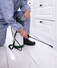 Des-Solutions-Personnalisées