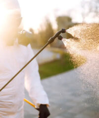 Engagement-Écologique-et-Durable