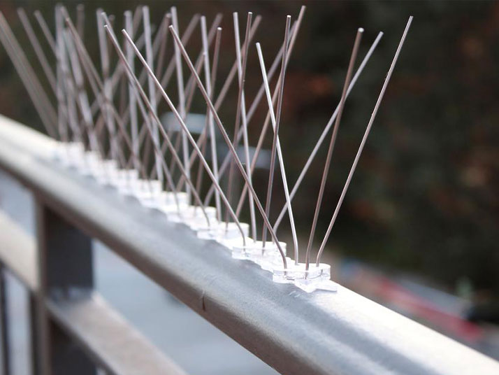 Grilles-anti-pigeons