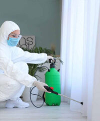 Interventions-Rapides-et-Locales