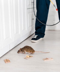 Méthodes-Professionnelles-et-Sécuritaires