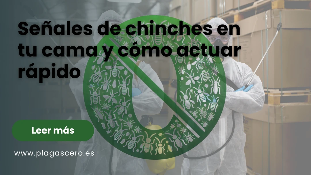 Señales de chinches en la cama: detecta y elimina rápido 2025