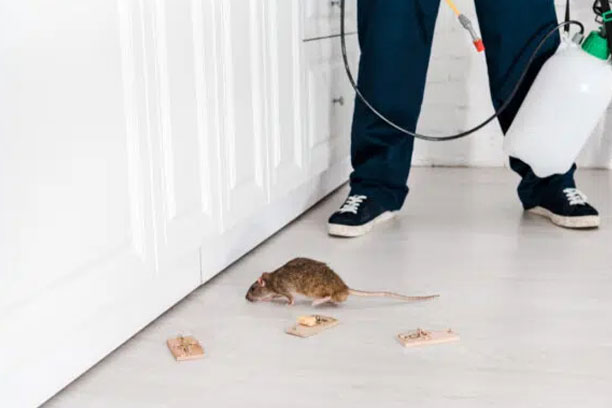 Suivi-post-intervention