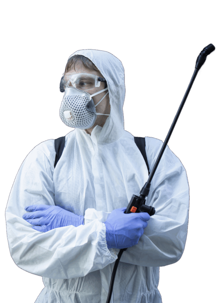 infestation de nuisibles