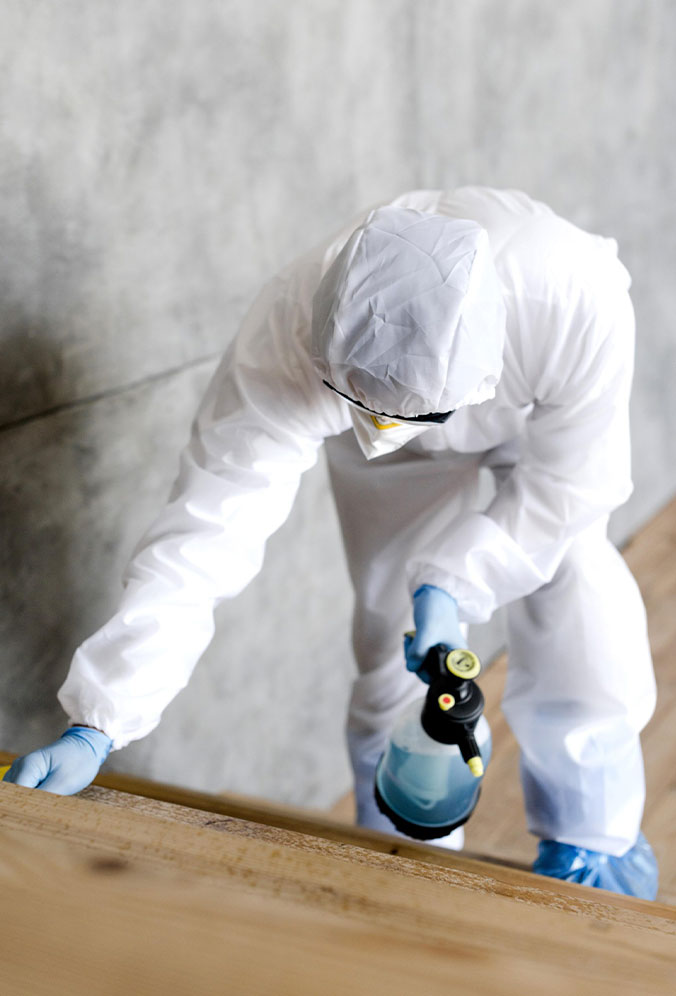 intervention-rapide-anti-punaises