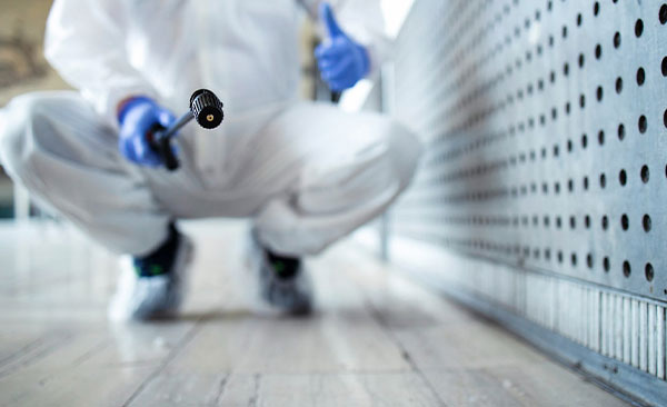 services-de-lutte-contre-divers-nuisibles-2