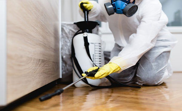 services-de-lutte-contre-divers-nuisibles-4