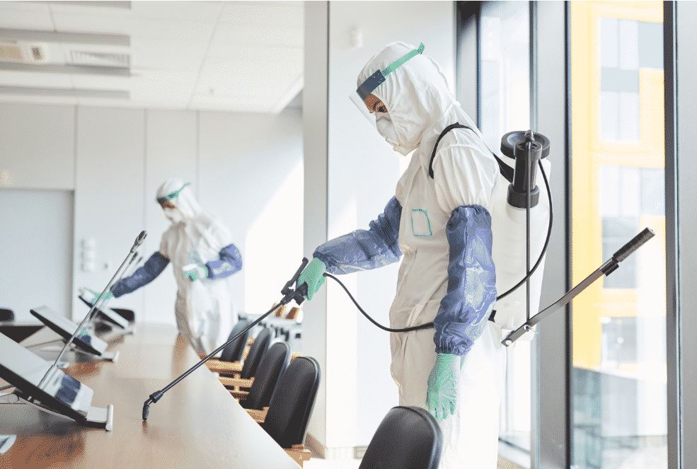 solution contre les insectes rampants et volants