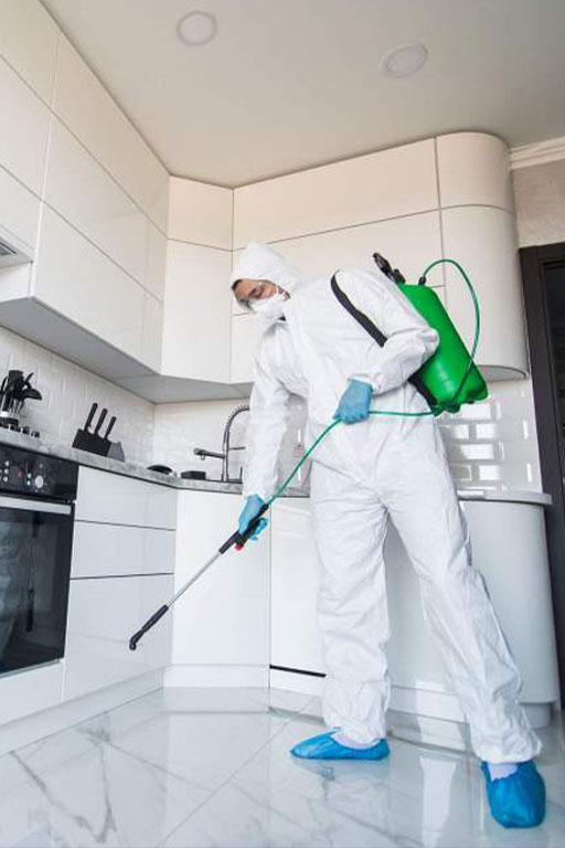 traitement-thermique-punaises-de-lit