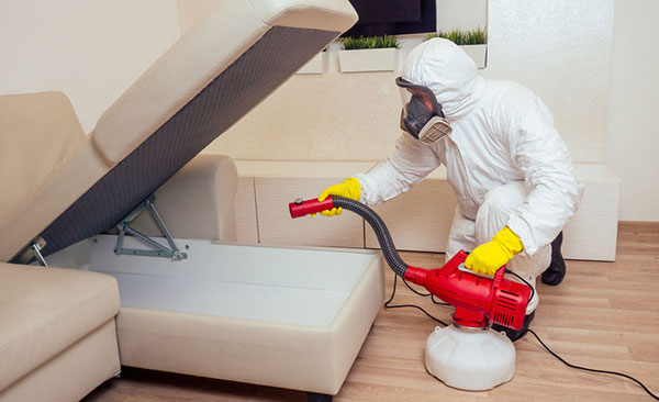 Éradication-des-mites-et-protection-des-vêtements-3