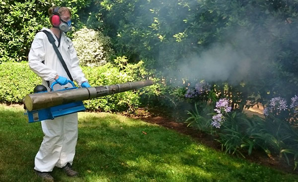 Nullapestis-traite-les-moustiques-3