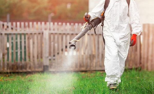 Nullapestis-traite-les-moustiques-33