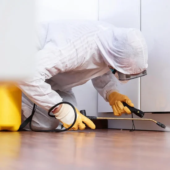 Pest-Control-Home Pest-Control-Home