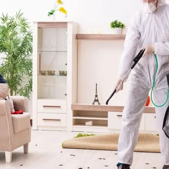 servicio integral de control de plagas en Torrevieja
