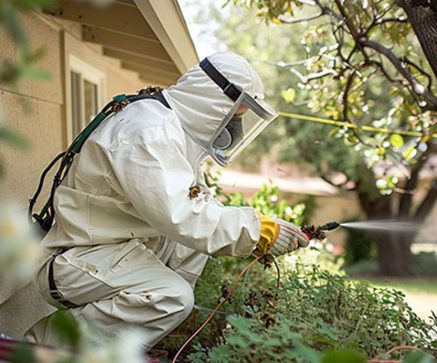 Transparence-et-Confiance