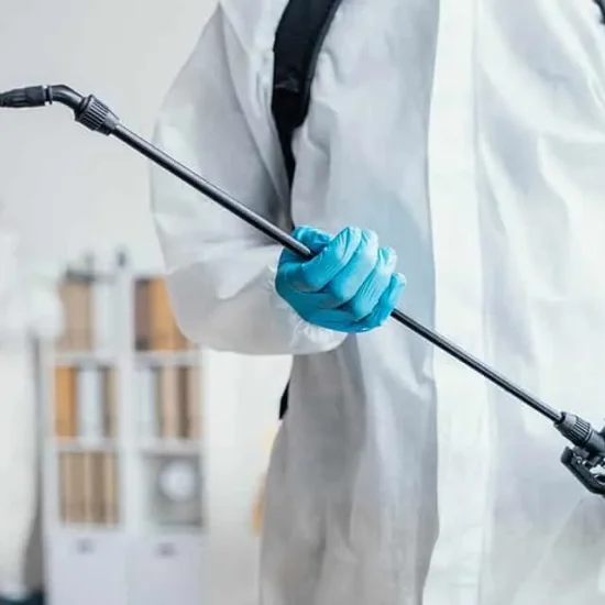 Fumigación de plagas económica en Pilar de la Horadada, Alicante y alrededores – Servicio profesional, rápido y eficaz