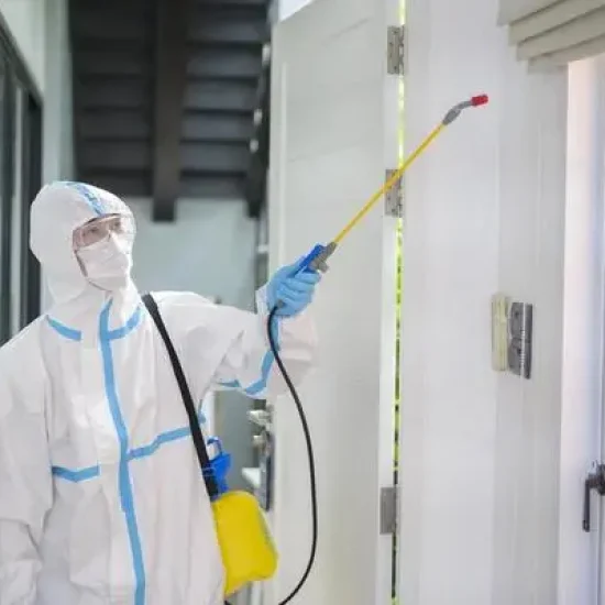 plagascero-pest-control-Callosa de Segura
